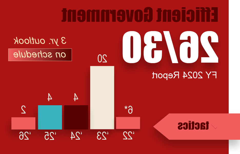 2024 Efficient Gov